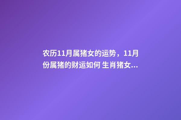 农历11月属猪女的运势，11月份属猪的财运如何 生肖猪女的一生命运-第1张-观点-玄机派